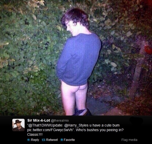 28.jan.2014 - Harry Styles, do One Direction, aparece com as calças abaixadas em foto