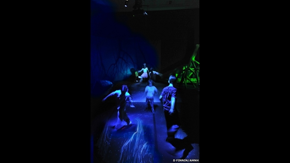 Exposição itinerante do Museu Americano de História Natural (sediado em Nova York) exibe surpreendentes micro-organismos capazes de produzir luz - D. Finnin/AMNH