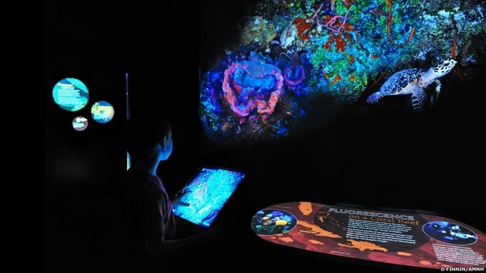 Exposição itinerante do Museu Americano de História Natural (sediado em Nova York) exibe surpreendentes micro-organismos capazes de produzir luz - D. Finnin/AMNH