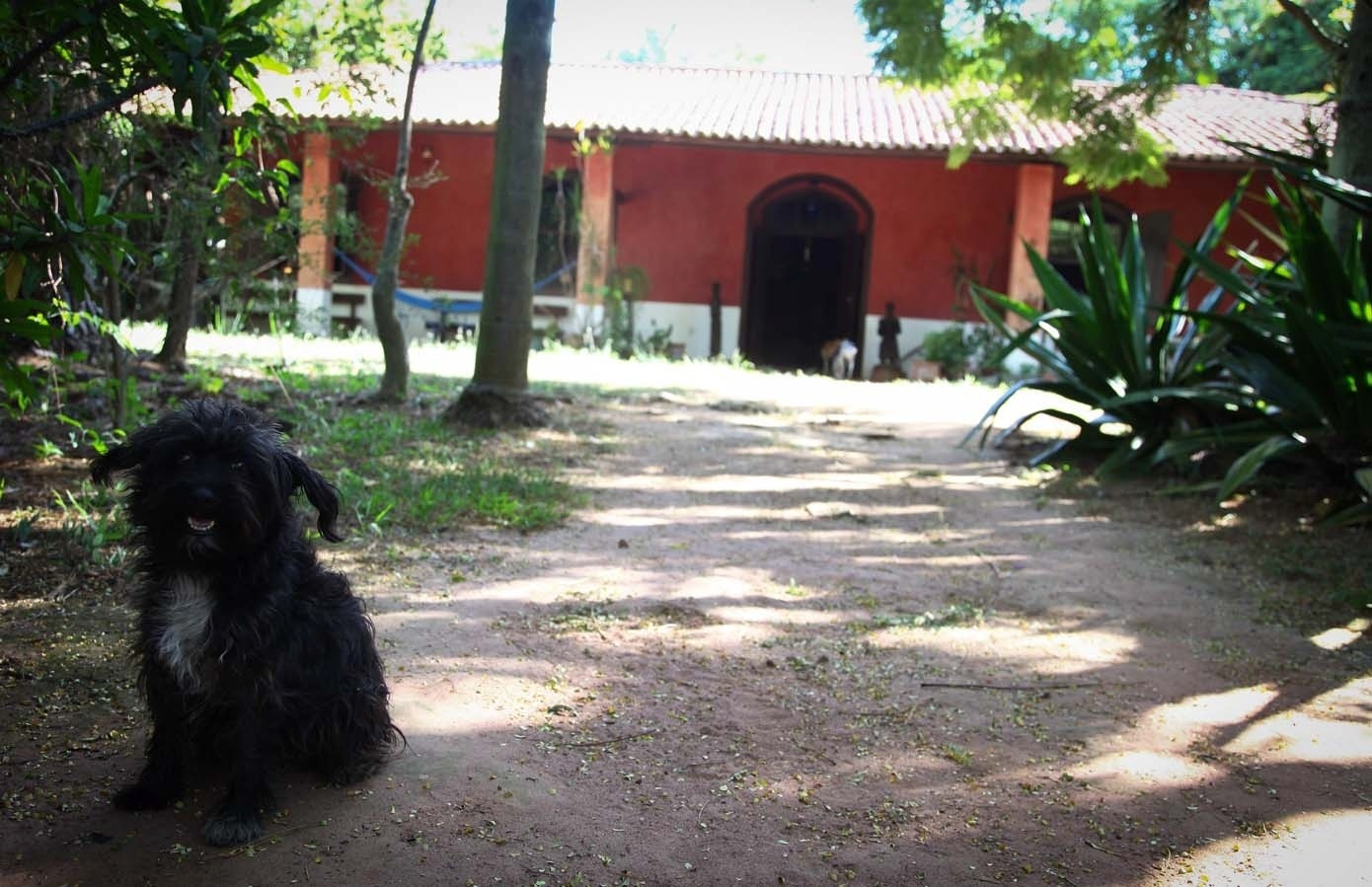 3.fev.2014 - Chácara Casa do Sol, onde morou a escritora Hilda Hilst, no Parque Xangrilá, em Campinas - Ricardo Lima/UOL