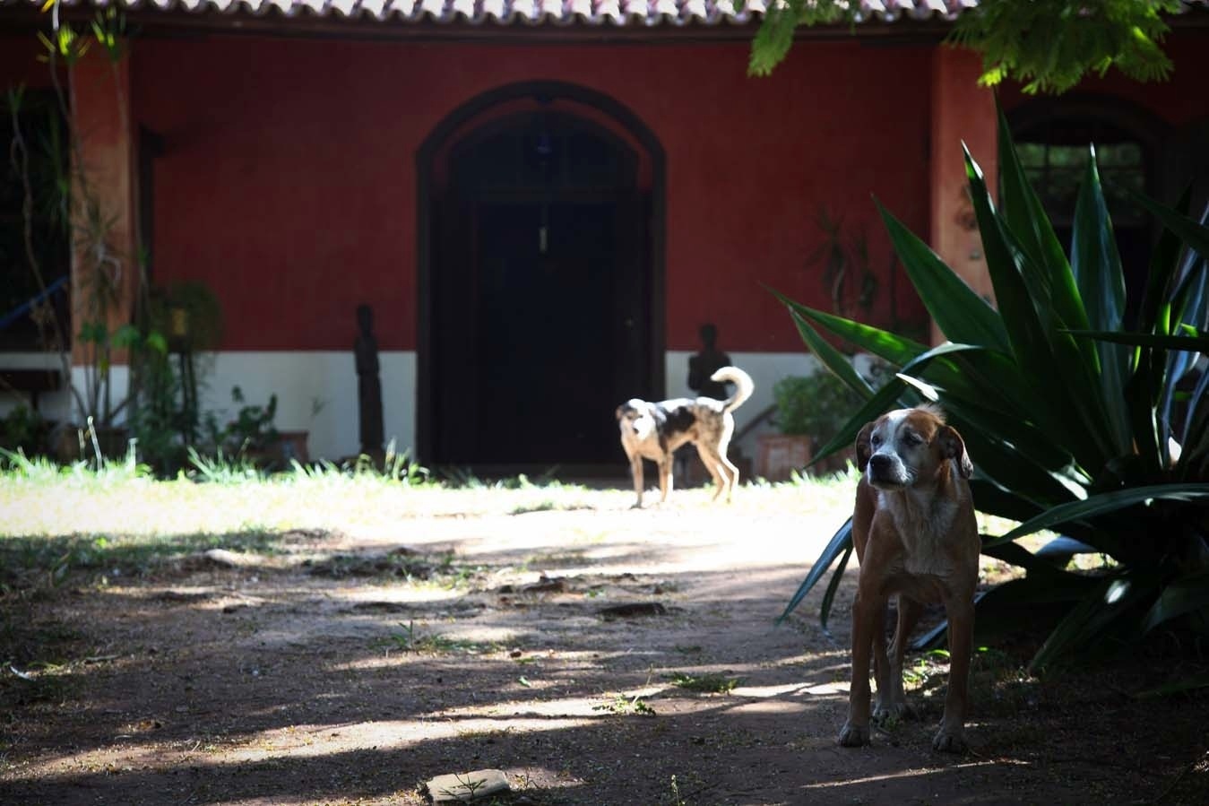 3.fev.2014 - Chácara Casa do Sol, onde morou a escritora Hilda Hilst, no Parque Xangrilá, em Campinas - Ricardo Lima/UOL