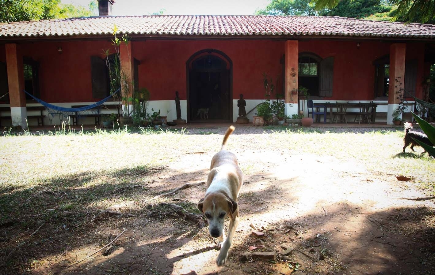 3.fev.2014 - Chácara Casa do Sol, onde morou a escritora Hilda Hilst, no Parque Xangrilá, em Campinas - Ricardo Lima/UOL