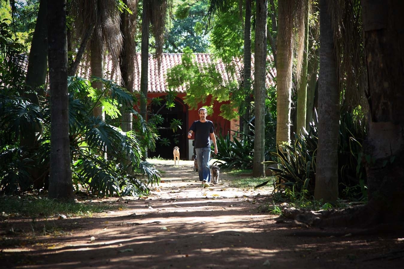 3.fev.2014 - Jurandy Valença, escritor, artista plástico e diretor de projetos do Instituto Hilda Hilst, na Chácara Casa do Sol, onde morou a escritora, no Parque Xangrilá, em Campinas - Ricardo Lima/UOL