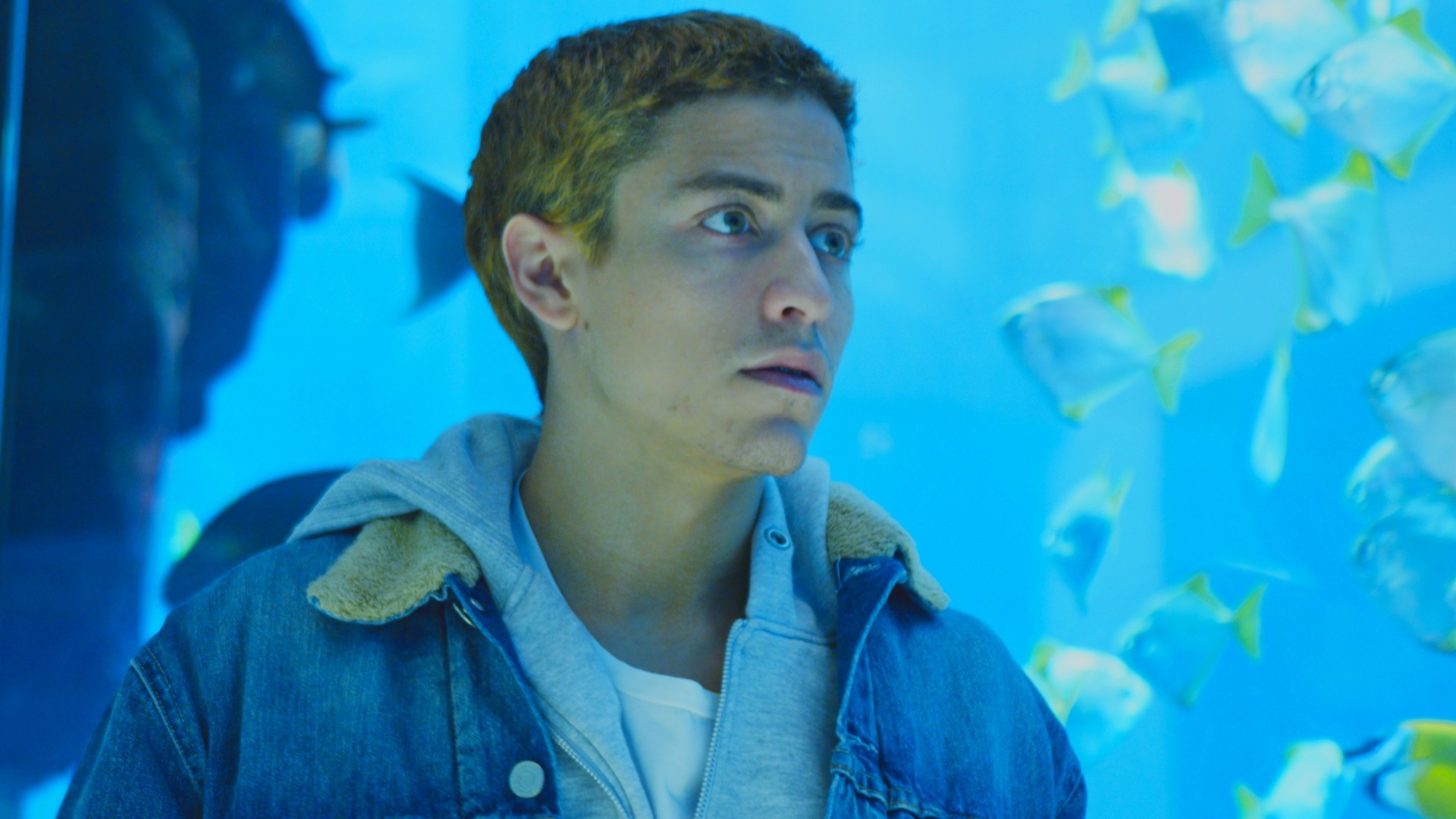 Cena de "Praia do Futuro", de Karim Aïnouz - Divulgação/Festival de Berlim