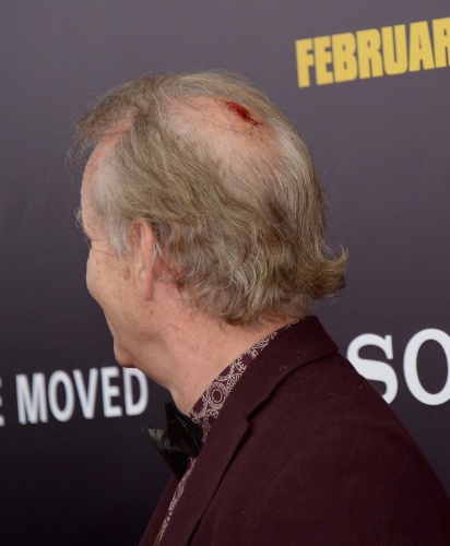 4.fev.2014 - Bill Murray aparece com um ferimento na cabeça em tapete vermelho