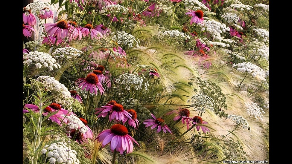 O International Garden Photographer of the Year, principal concurso internacional de fotografia de jardins, está exibindo os vencedores de sua sétima edição em uma mostra no Kew Gardens, o Jardim Botânico de Londres - Rosanna Castrini/Igpoty