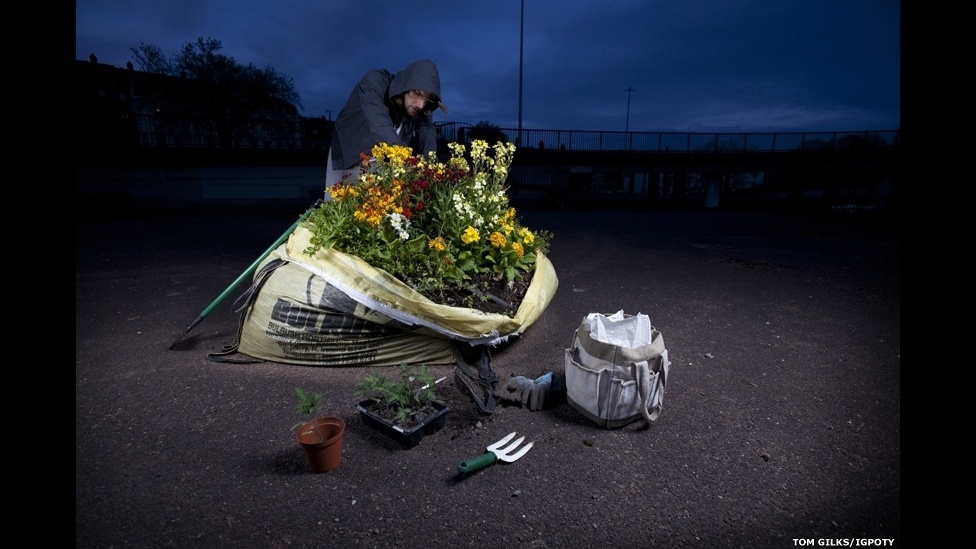 O International Garden Photographer of the Year, principal concurso internacional de fotografia de jardins, está exibindo os vencedores de sua sétima edição em uma mostra no Kew Gardens, o Jardim Botânico de Londres - Tom Gilks