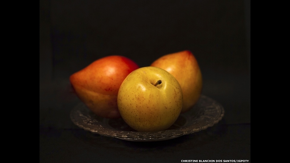 O International Garden Photographer of the Year, principal concurso internacional de fotografia de jardins, está exibindo os vencedores de sua sétima edição em uma mostra no Kew Gardens, o Jardim Botânico de Londres - Christine Blanchin