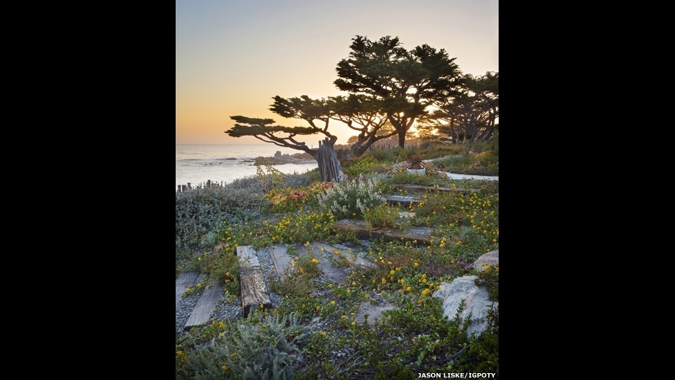 O International Garden Photographer of the Year, principal concurso internacional de fotografia de jardins, está exibindo os vencedores de sua sétima edição em uma mostra no Kew Gardens, o Jardim Botânico de Londres - Christine Blanchin