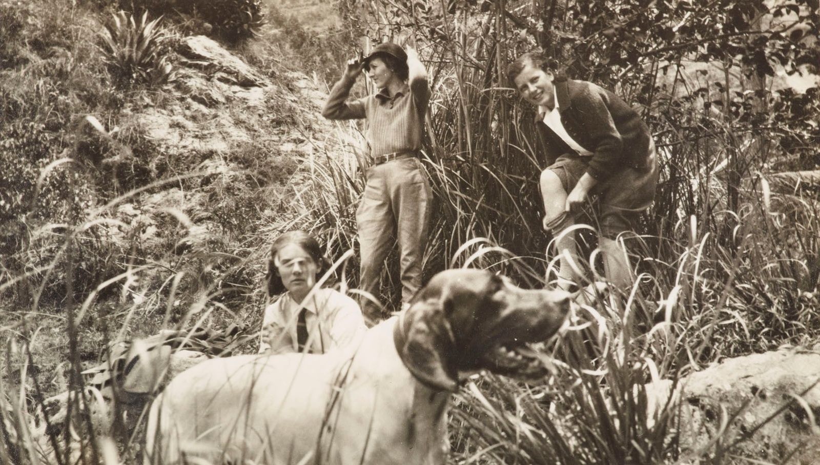 A exposição "A Collective Invention: Photographs at Play", em cartaz na Morgan Library & Museum, em Nova York, tem como foco as diferentes funções desempenhadas pela fotografia ao longo dos anos, tanto como ferramenta para documentar os acontecimentos quanto como obra de arte - The Morgan Library & Museum