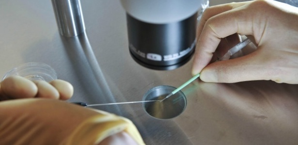 Técnica usa espermatozoide e óvulos dos pais, além de um óvulo adicional de uma doadora - PA