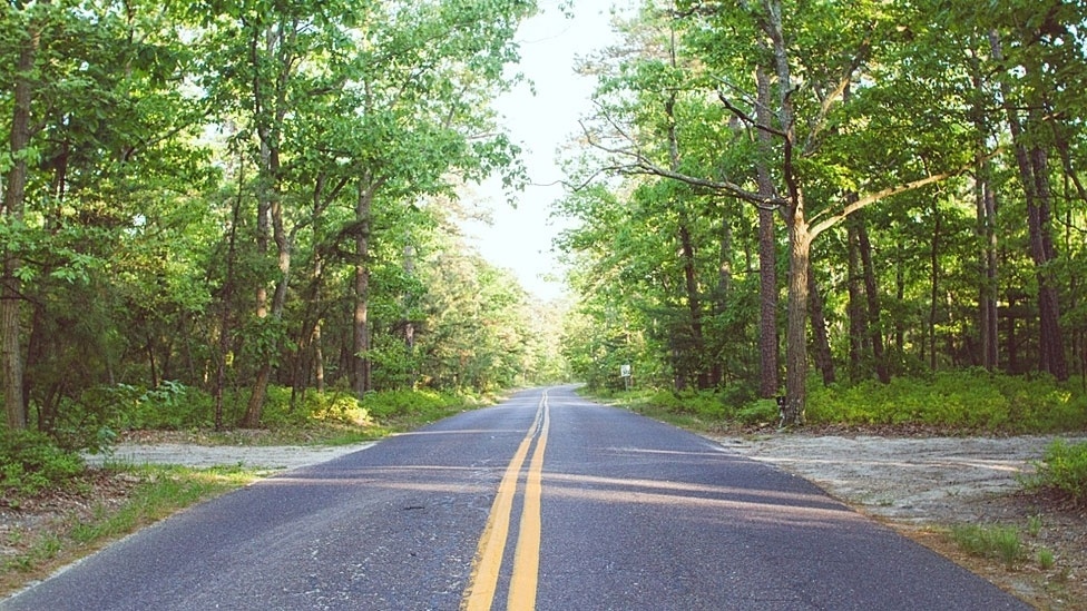 O fotógrafo canadense Andrew Knapp escondeu seu cachorro, Momo, em belas paisagens ou ruas comuns dos Estados Unidos e Canadá. Acima, Momo em Nova Jersey - Andrew Knapp