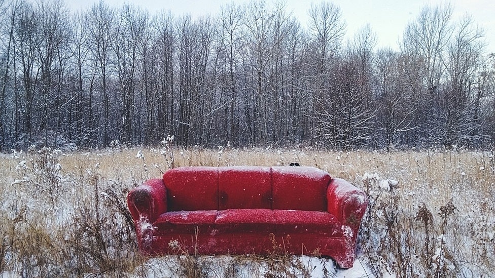 O fotógrafo canadense Andrew Knapp resolveu aproveitar o comportamento agitado de seu border collie Momo e fez fotos em que o cachorro se esconde em paisagens e ruas dos EUA e Canadá. Acima, Momo em Sudbury, Ontario, Canadá - Andrew Knapp