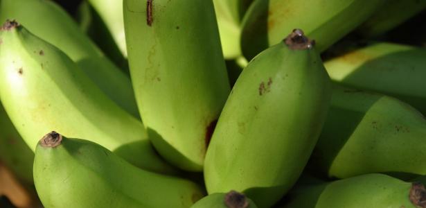 Banana verde auxilia o intestino e mais; veja como fazer a biomassa