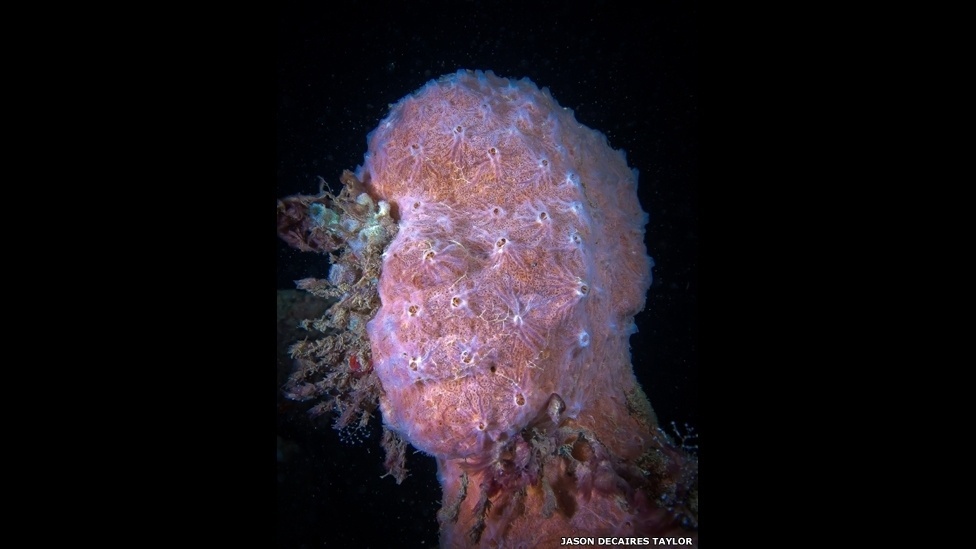 O artista Jason deCaires Taylor criou um enorme museu subaquático usando 450 esculturas em tamanho real, que foram colocadas no fundo do oceano - Jason deCaires