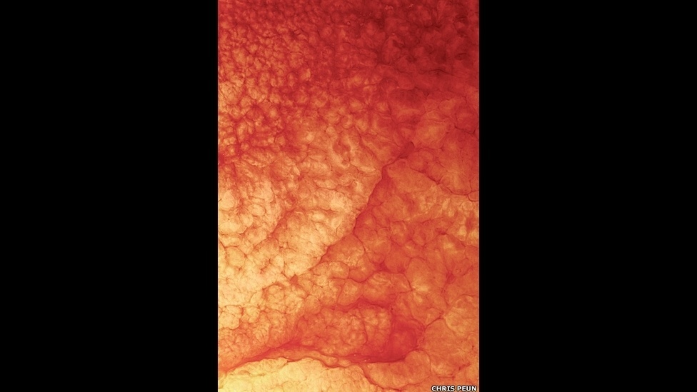 O fotógrafo britânico Chris Peun fez uma série de imagens recriando "galáxias escondidas" a partir de químicos encontrados em casa, como tintas acrílicas e solventes - Chris Peun