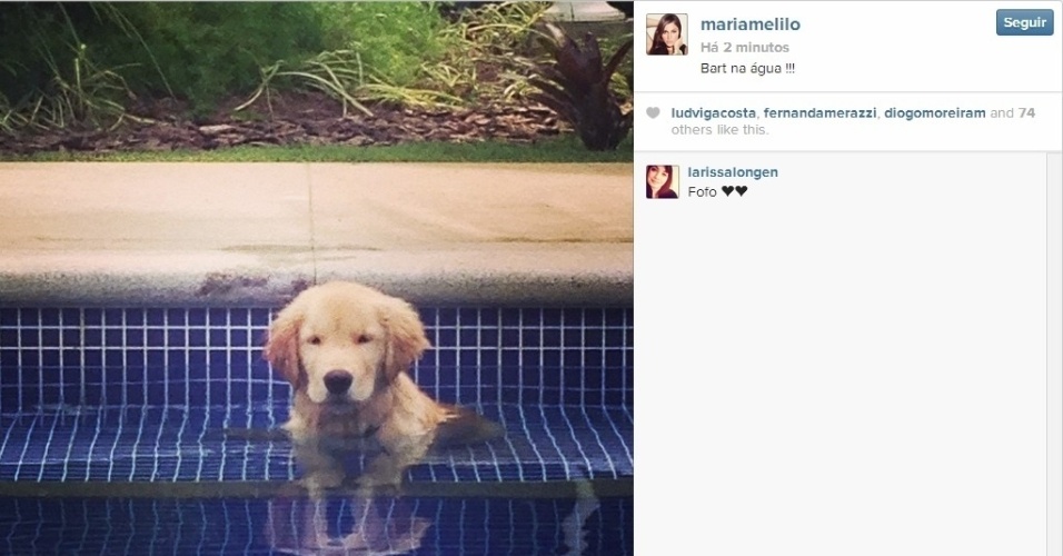 30.mar.2014 - A ex-BBB Maria Melilo postou uma foto de seu cãozinho de estimação Bart dentro da piscina