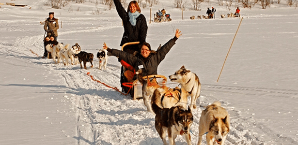 Além dos traslados, o Kirkenes Snow Hotel promove tours com os huskies nas paisagens nevadas - Divulgacao/Kirkenes Hotel