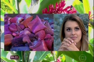 BBB 14: confira quais TVs da Panasonic estão sendo usadas por Bial e  companhia