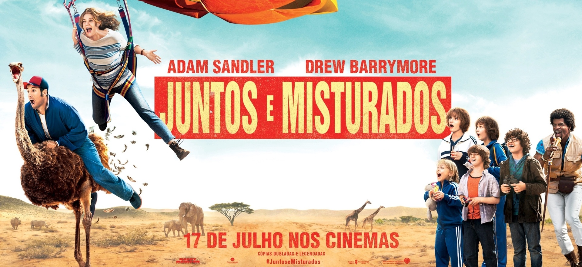 Pôster do filme "Juntos e Misturados" - Divulgação
