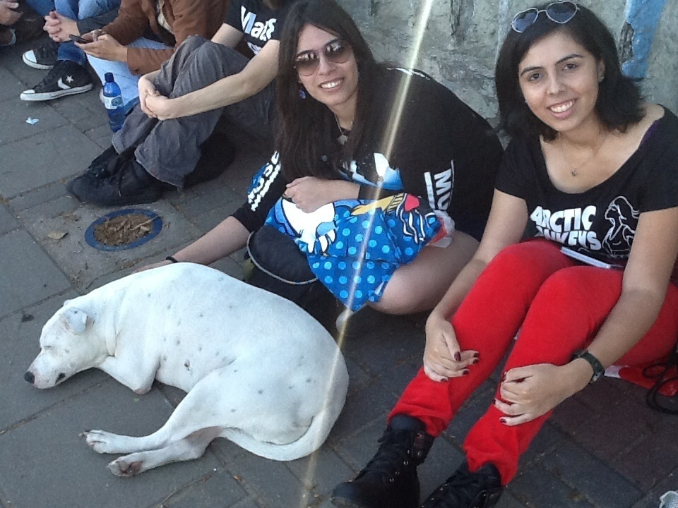 5.abr.2014 - As amigas Bruna Lourenço da Silva, 26 anos, e Fernanda Nascimento, 23, ganharam a companhia de um cão na fila para o primeiro dia de Lollapalooza - Thays Almendra/UOL