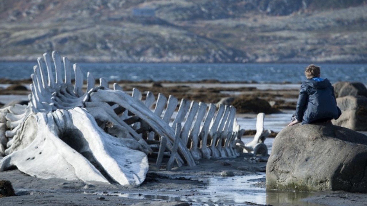 O drama "Leviathan", do cineasta russo Andrey Zvyagintsev, conta a história da insegurança de vários personagens em um "novo país", abordando a condição humana sobre a terra. Elena Lyadova e Vladimir Vdovichenkov estão presentes no elenco. - Divulgação