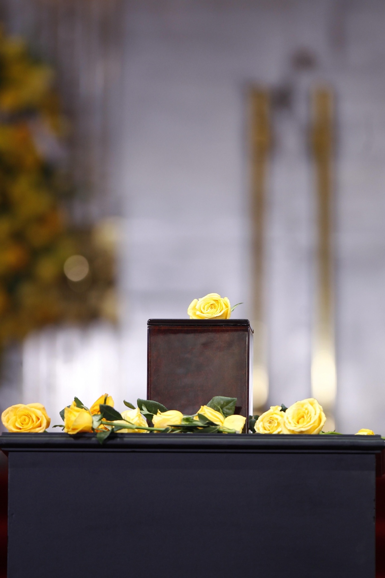 21.abr.2014 - Rosas amarelas enfeitam urna com as cinzas do Nobel de literatura Gabriel García Márquez durante tributo no Palácio de Belas Artes da Cidade do México - José Méndez/EFE