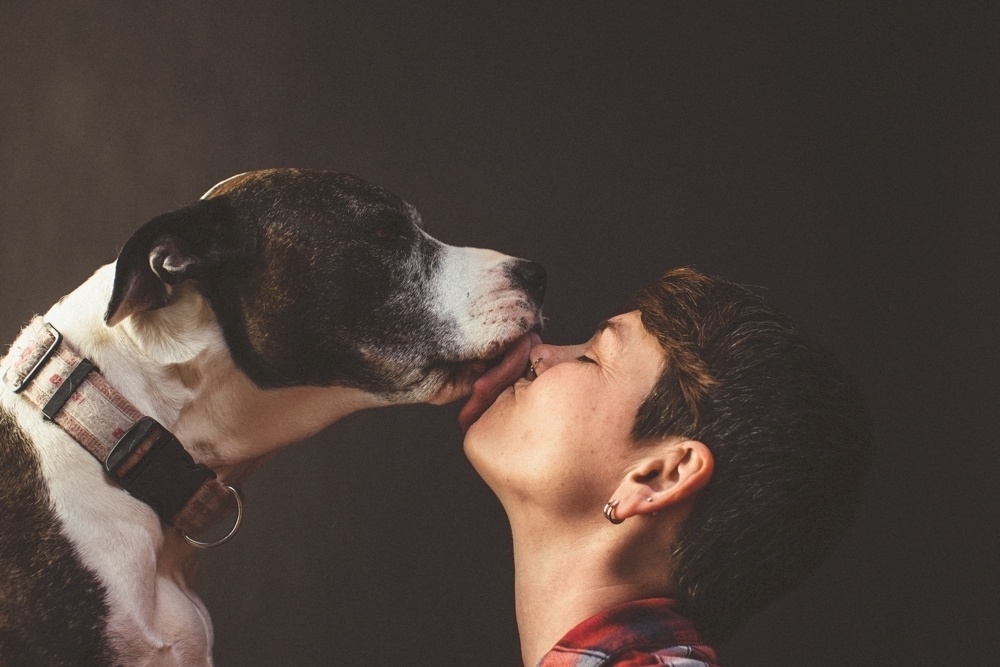 O fotógrafo Chris Sembrot criou o projeto "Humans Kissing Dogs", no qual mostra pessoas beijando seus melhores amigos na boca. "Beijar é uma forma libertadora de mostrar afeto com os cães que os amam incodicionalmente", descreve o fotógrafo em seu blog - Divulgação/Chris Sembrot