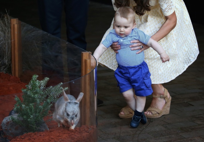 20.abr.2014 - Príncipe William e a duquesa de Cambridge, Kate Middleton, levaram o pequeno George na manhã do domingo de Páscoa para conhecer o zoológico Taronga em Sidney, na Austrália