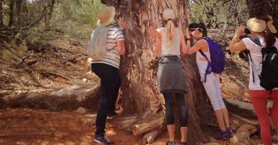 26.abr.2014 - Em retiro espiritual no Arizona, Gisele Bündchen relaxa ao lado de árvore