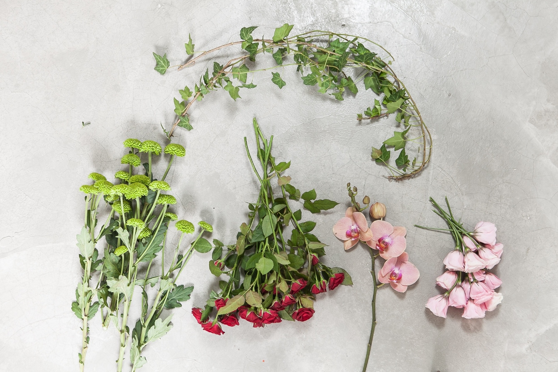 Flores e folhagens: hera estrela / crisântemo pinóquio verde / rosa spray / orquídea Phalaenopsis / lisianto - Rodrigo Capote/UOL