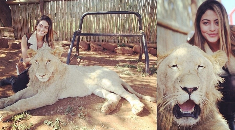 9.mai.2014 - Carol Castro mostra foto em que acaricia filhote de leão