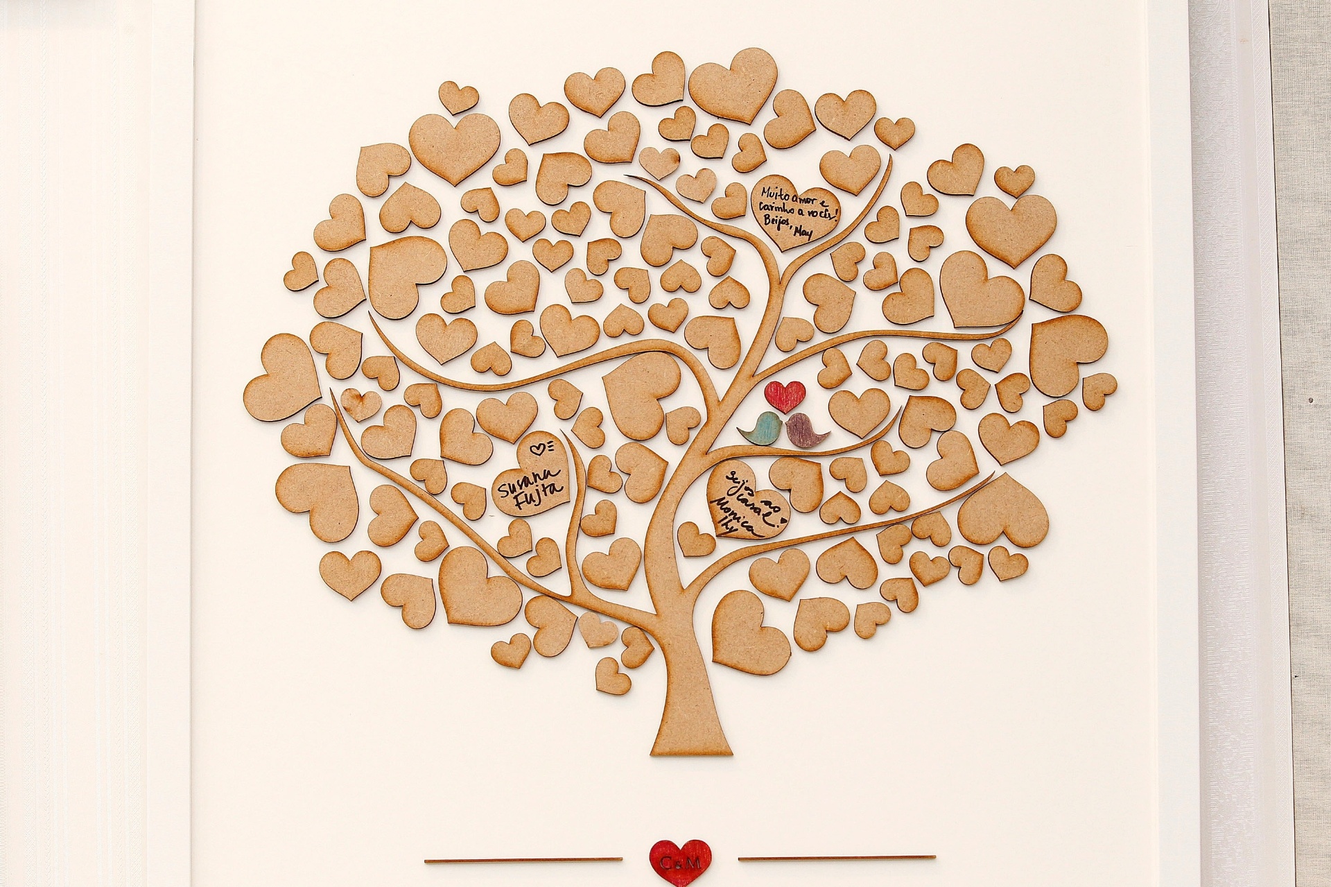 Casar 2014 Susaja Fujita - Reinaldo Canato/UOL