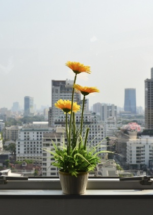 rega de plantas em vasos - Getty Images - Getty Images
