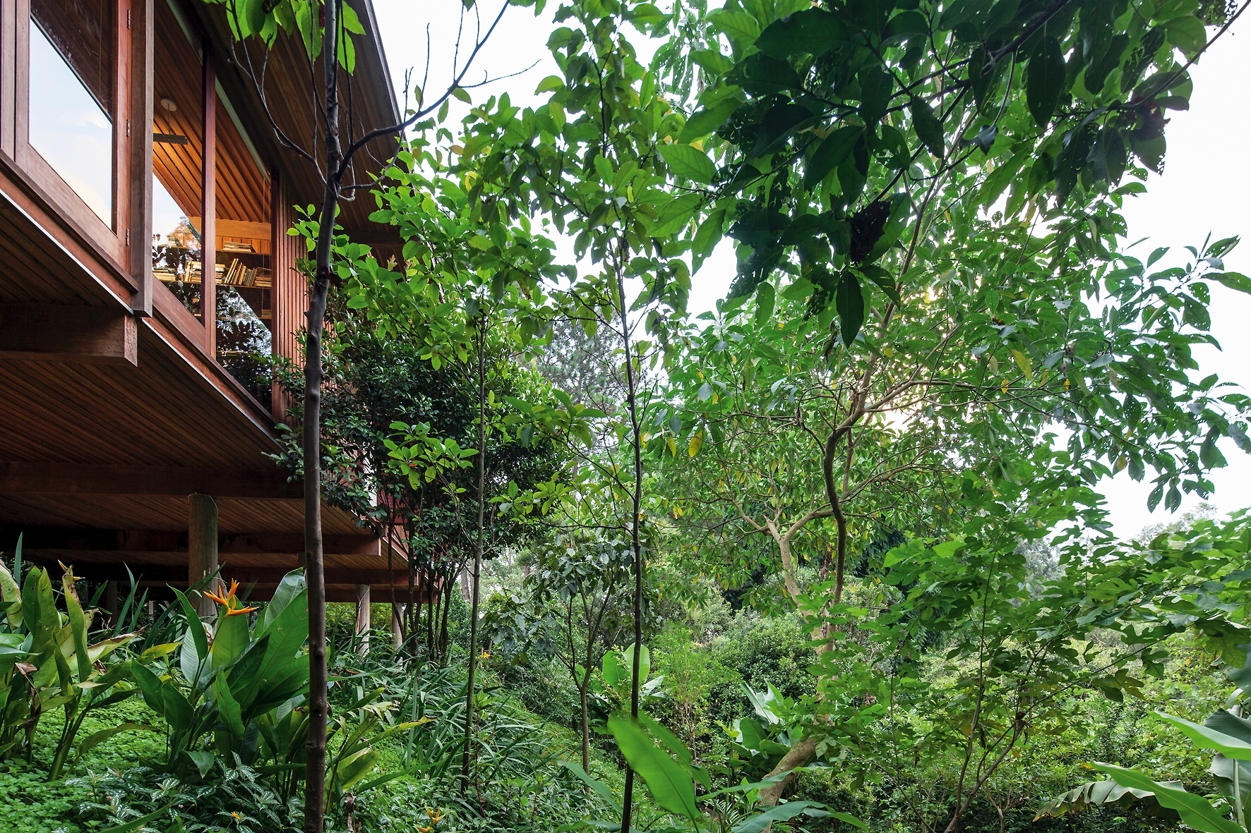 Apoiada sobre colunas de concreto e construída com madeira cumaru, a Casa Vila Taguaí, projetada por Cristina Xavier e Hélio Olga, tem os ambientes sociais na altura das copas das árvores - Leonardo Finotti/UOL