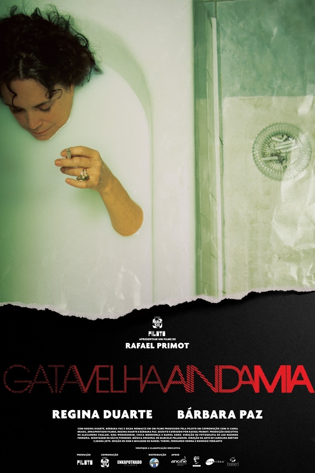 Pôster do filme "Gata Velha Ainda Mia", do diretor Rafael Primot - Divulgação