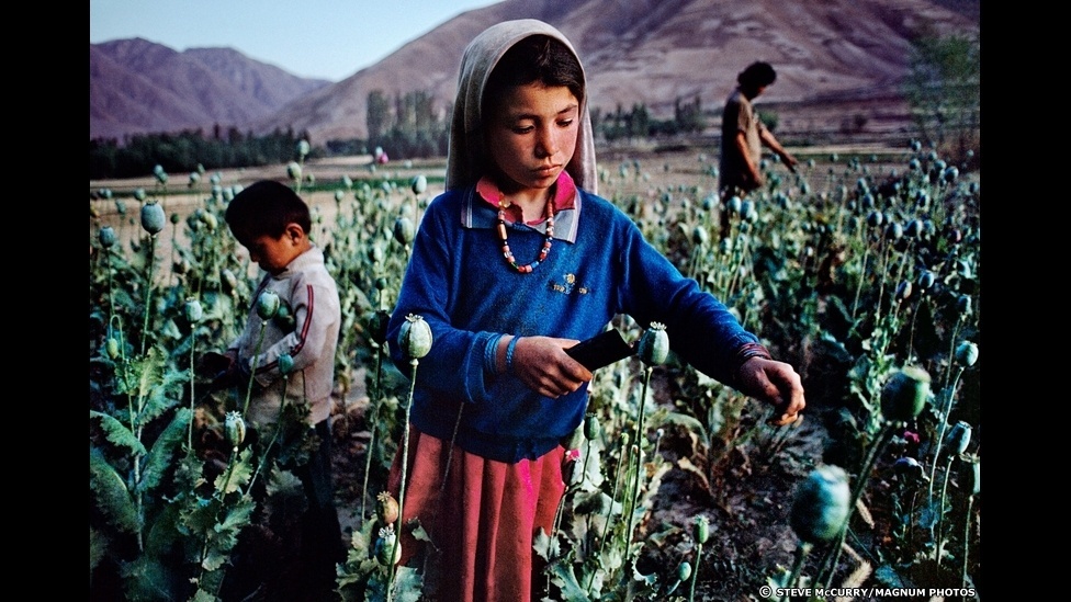 A mostra reúne imagens de arquivo dos registros feitos por McCurry da cultura e do povo afegão. Nesta foto, de 1992, uma menina trabalha num cultivo de ópio - Steve McCurry/Magnum Photos