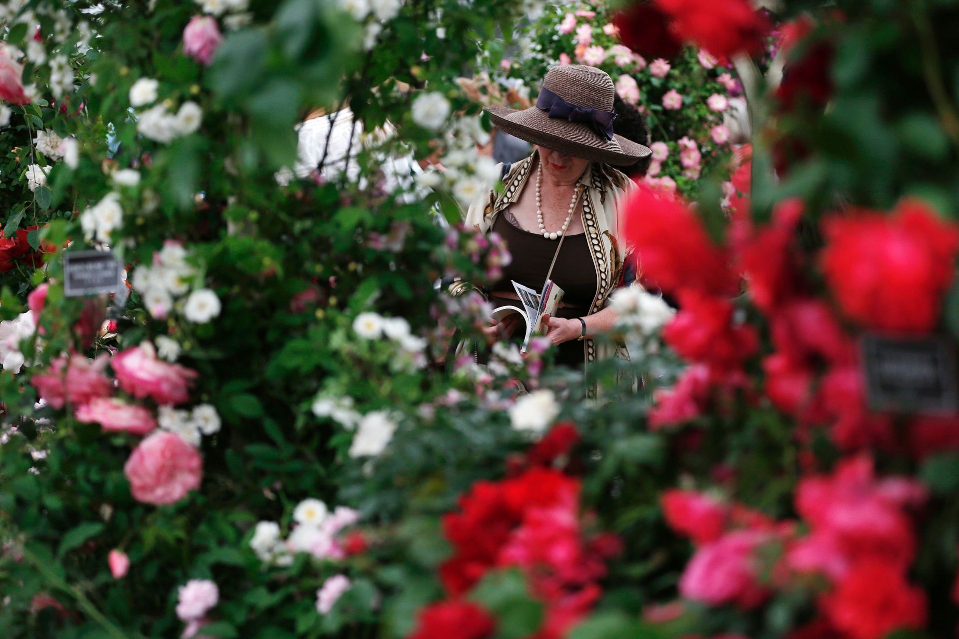 Visitante caminha por entre os canteiros da Chelsea Flower Show, organizada pela Royal Horticultural Society (RHS), em Londres, de 20 a 24 de maio de 2014. A primeira mostra de flores e paisagismo apresentada pela RHS data de 1862 - Reuters/Suzanne Plunkett