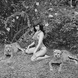 Imagem célebre de Bettie Page clicada por Bunny Yeager - Bunny Yeager/Divulgação - Bunny Yeager/Divulgação