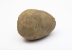 Veja os cuidados necessários para o cultivo de batatas em vaso - Getty Images