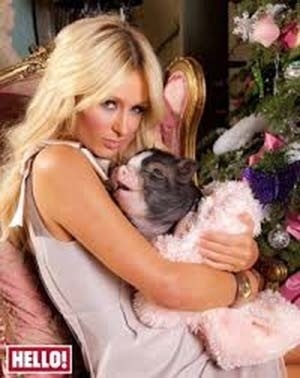 A socialite Paris Hilton com a porca Miss Piglette. Em entrevista para a revista ?Hello?, Paris dizia dormir com o animal em sua cama
