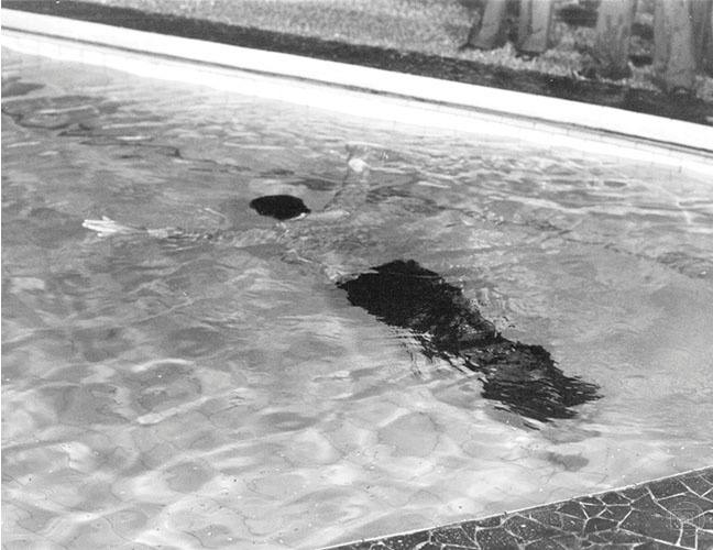 Corpo boiando na piscina dá início à trama de "O Rebu"