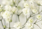 Quatro flores baratinhas para incluir na decoração do seu casamento - Thinkstock