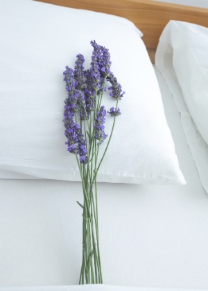 ramo de lavanda sobre travesseiro - Getty Images - Getty Images