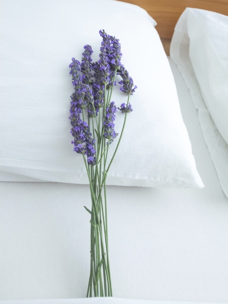ramo de lavanda sobre travesseiro - Getty Images - Getty Images