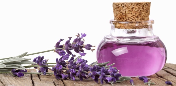 Lavanda e aromatizante de lavanda/ essência de lavanda - Getty Images - Getty Images