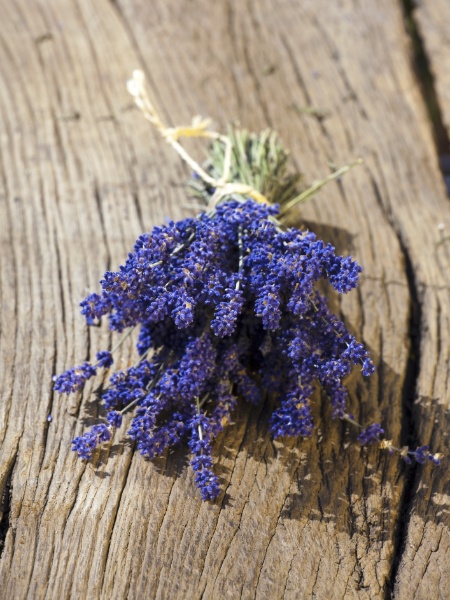 Maço de lavanda; buquê de lavanda - Getty Images - Getty Images