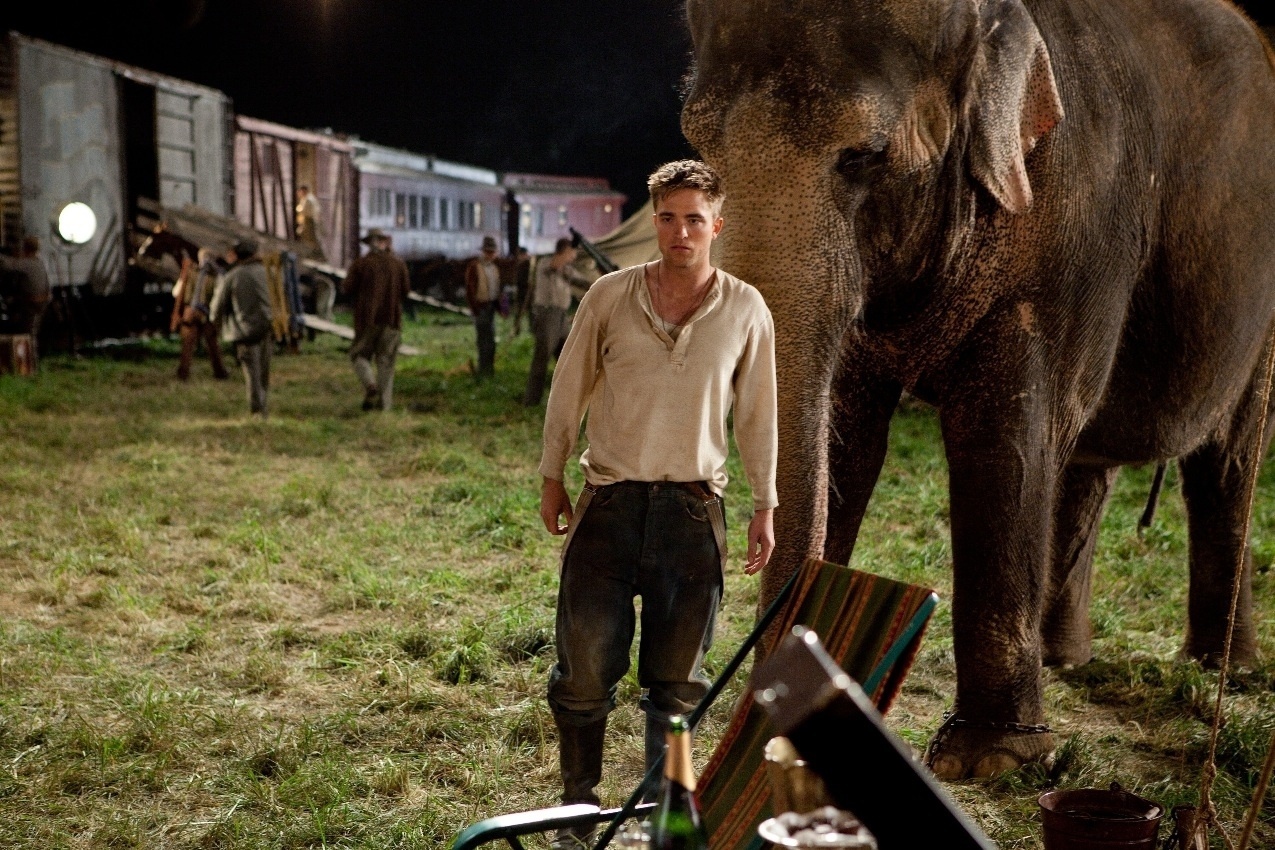 Robert Pattinson em cena do filme "Água para Elefantes" (2011) - Divulgação
