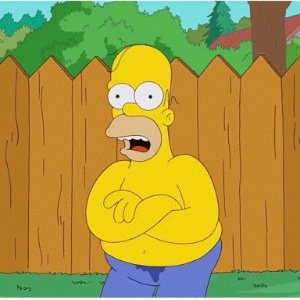 Homer Simpson adere ao desafio do "balde de gelo"