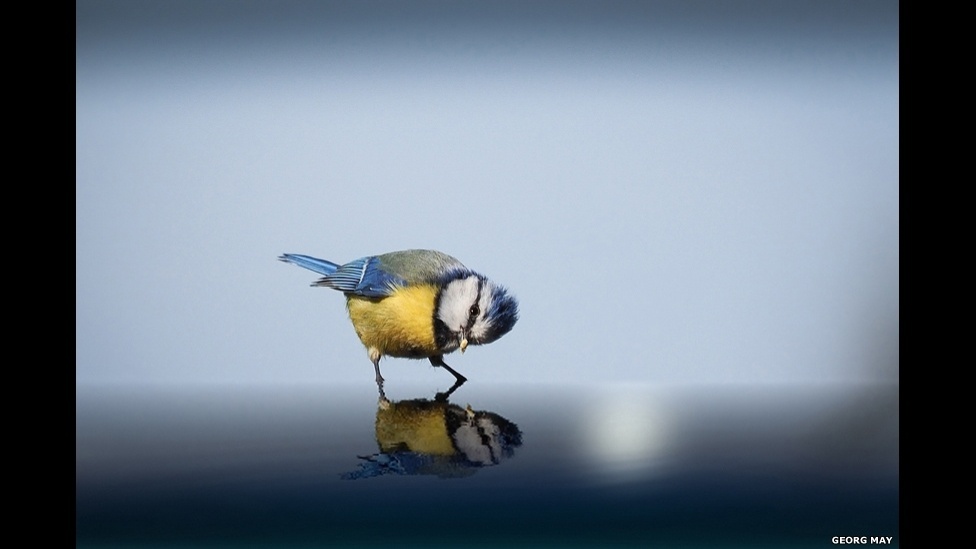 O Prêmio Mundial de Fotografia da Sony 2015, organizado pela Organização Mundial de Fotografia, está com as inscrições abertas - Georg May